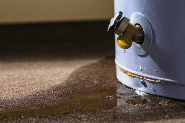 Best Mold removal after water damage  in Henderson, NC