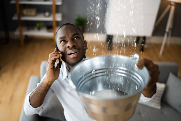 Best Water damage restoration near me  in Henderson, NC