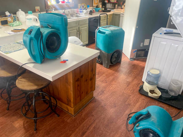 Best Flood damage cleanup  in Henderson, NC
