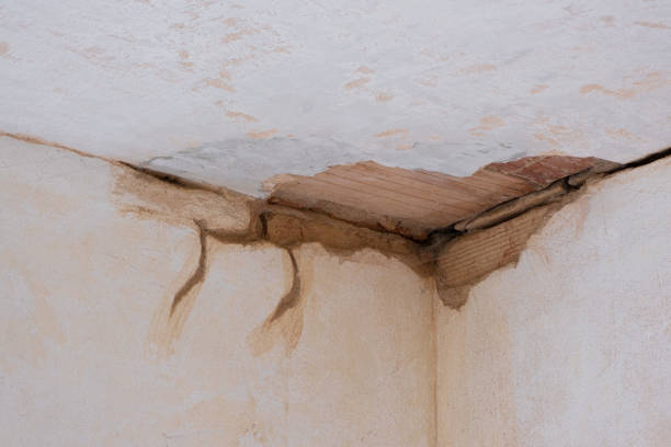 Professional Water damage restoration in Henderson, NC