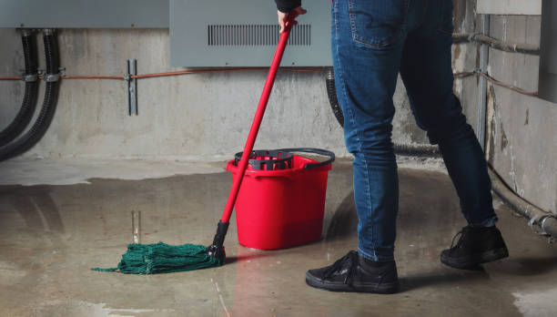Best Commercial water damage restoration  in Henderson, NC