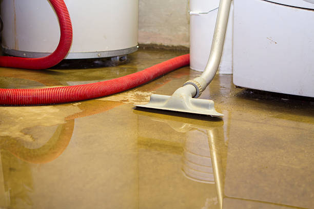 Best Water damage restoration near me  in Henderson, NC