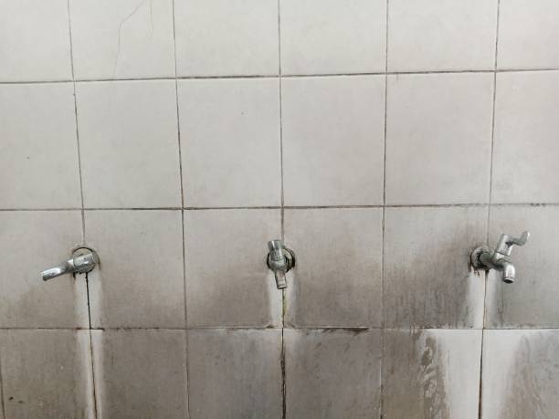  Henderson, NC Water damage restoration Pros