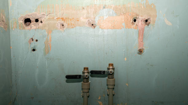 Best Local water damage restoration  in Henderson, NC