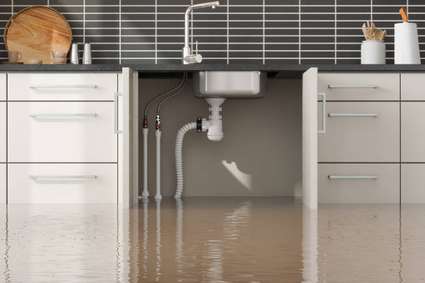 Best Emergency water extraction  in Henderson, NC