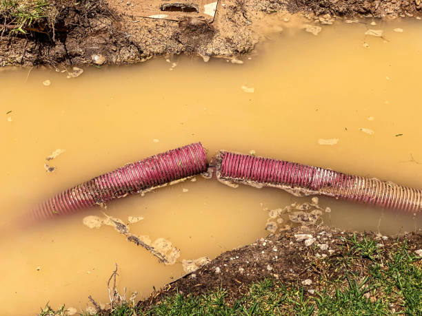 Best Emergency water damage restoration  in Henderson, NC