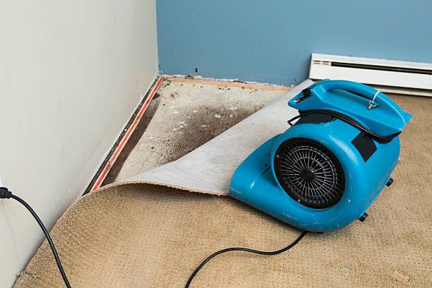Best 24-hour water damage restoration  in Henderson, NC